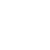 GitHub Logo